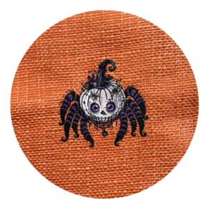 Broderie Halloween araignée raphia